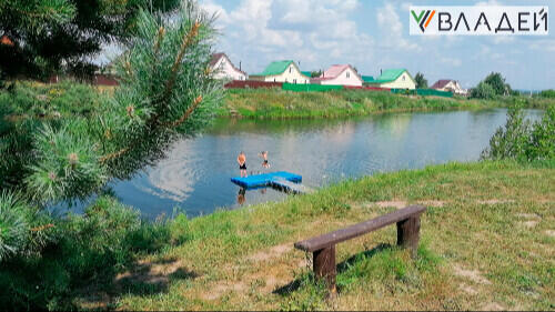 Караси
